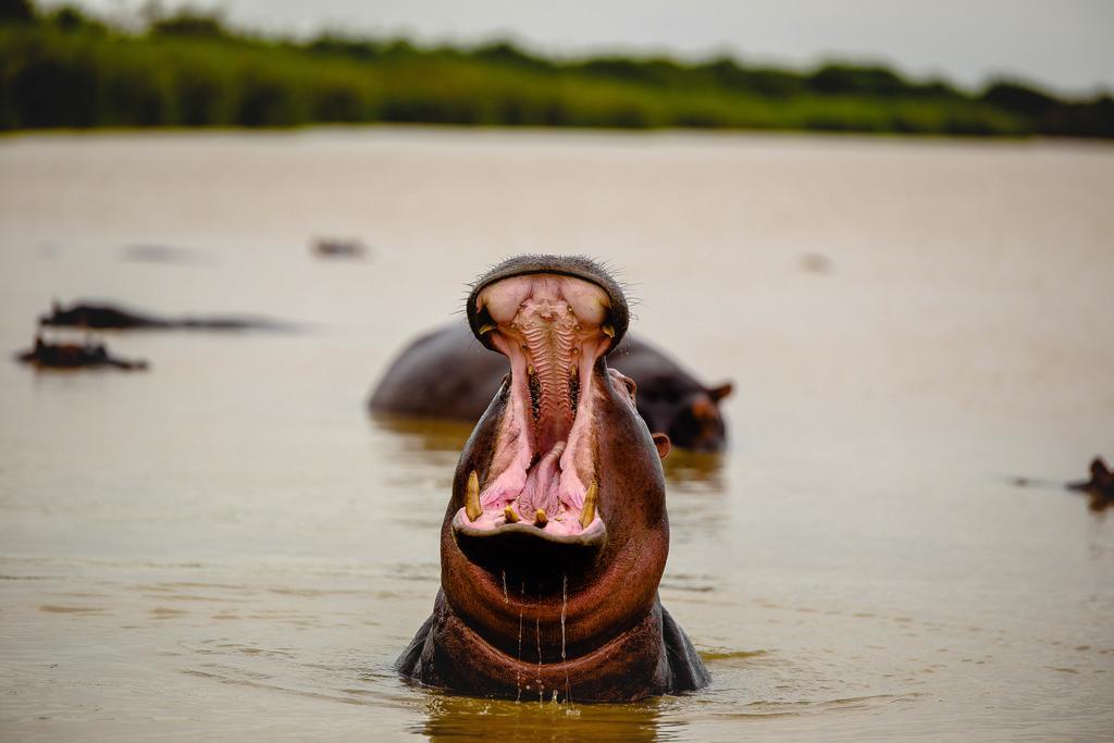 At Heritage House Saint Lucia Estuary Esterno foto